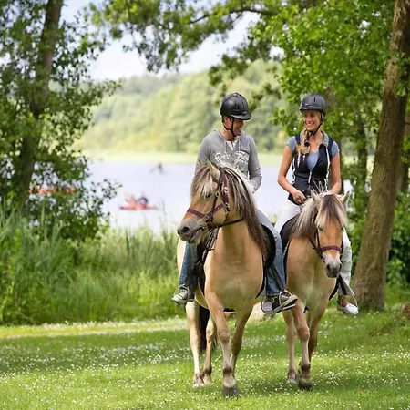 Hébergement de vacances Mit Sauna Im Mirow *